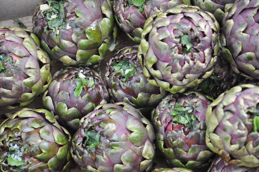 La Culla Dei Castelli Romani Velletri Luaran gambar